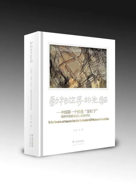 动物世界的先驱—中国第一个候选“金钉子”梅树村剖面实证记录插图2